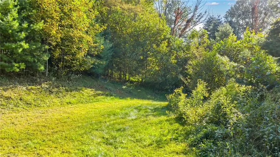 TBD Mulatto Mountain Road, West Jefferson, NC 28694 - #2