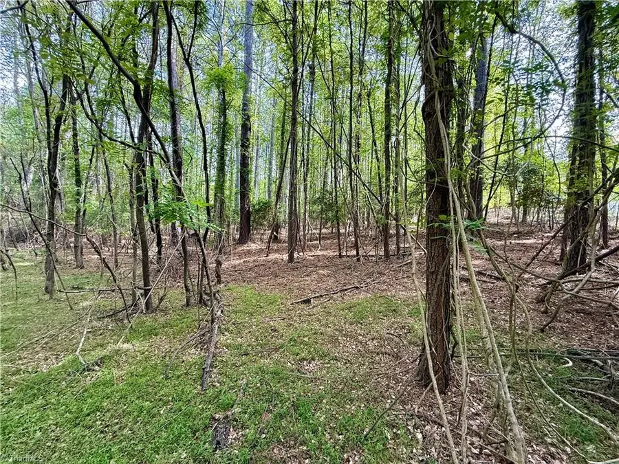 161 Greens Road, Granite Falls, NC 28630 - #3