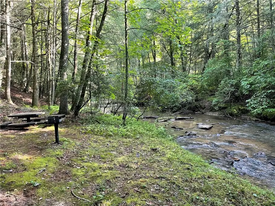 TBD (Lots 13 & 14) Timberwilde Drive, Laurel Springs, NC 28644 - #3