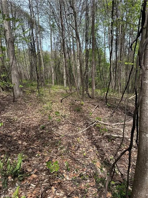 0 Will Boone Road, Mocksville, NC 27028