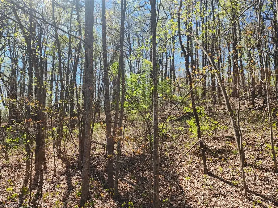 TBD Brushy Mountain Road, Moravian Falls, NC 28654 - #2