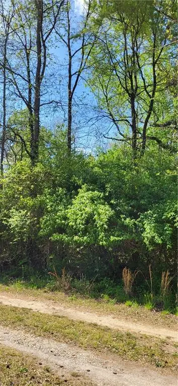 1642 R2 Kersey Valley Road, Archdale, NC 27265 - #3