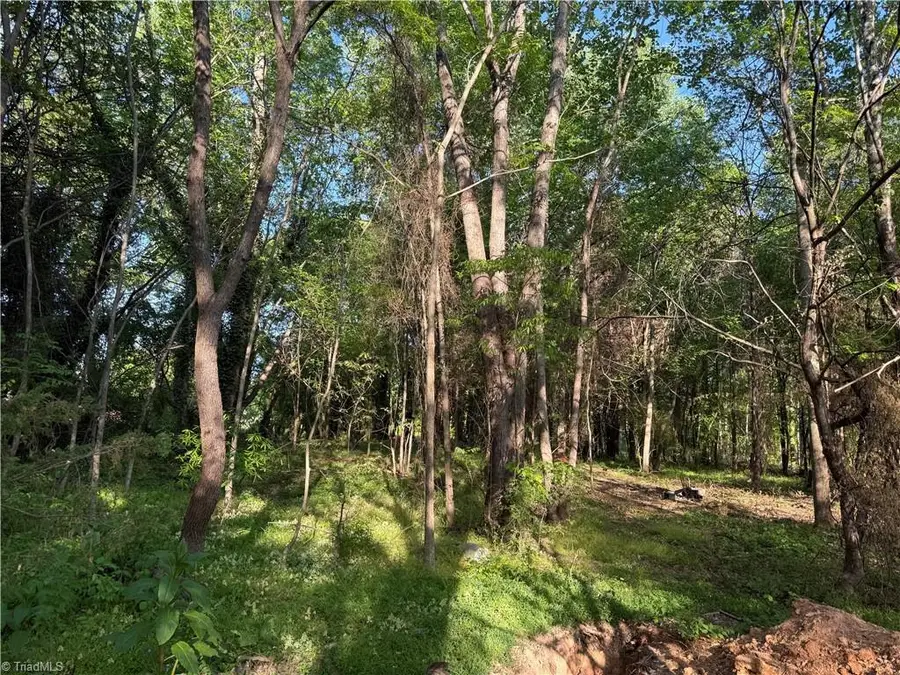 00 Courtney Huntsville Road, Yadkinville, NC 27055 - #2