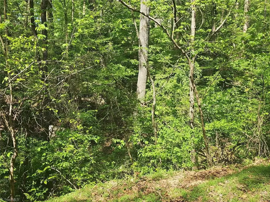 00 Rocky Lane, Wilkesboro, NC 28697 - #2