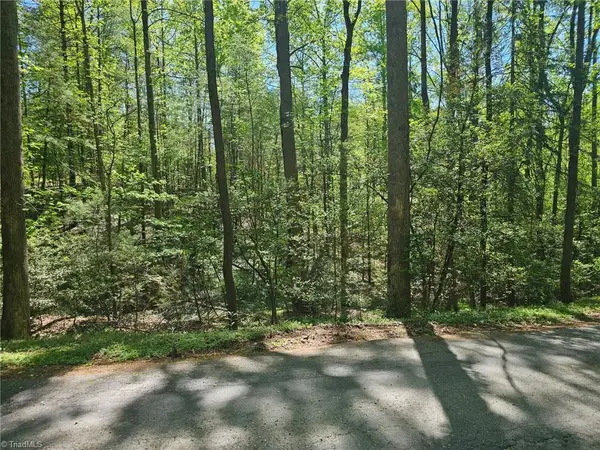 0 Rocky Lane, Wilkesboro, NC 28697