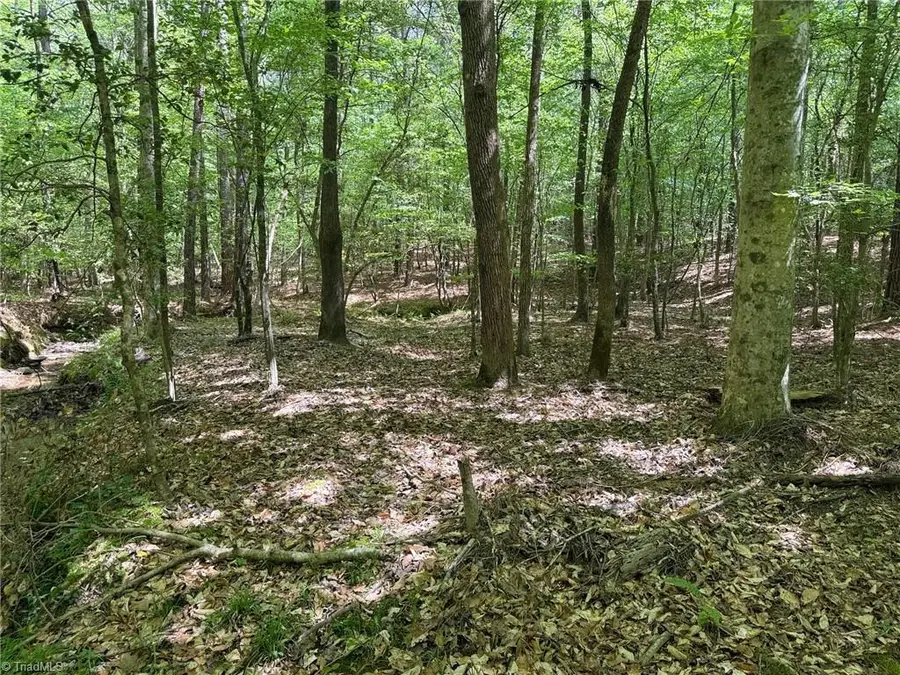 Lot 6 Thompson Road, Seagrove, NC 27341 - #3