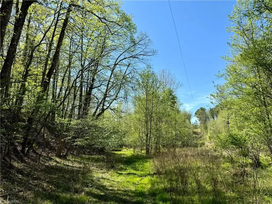 3311 Nc Highway 66 S, Westfield, NC 27053 - #3