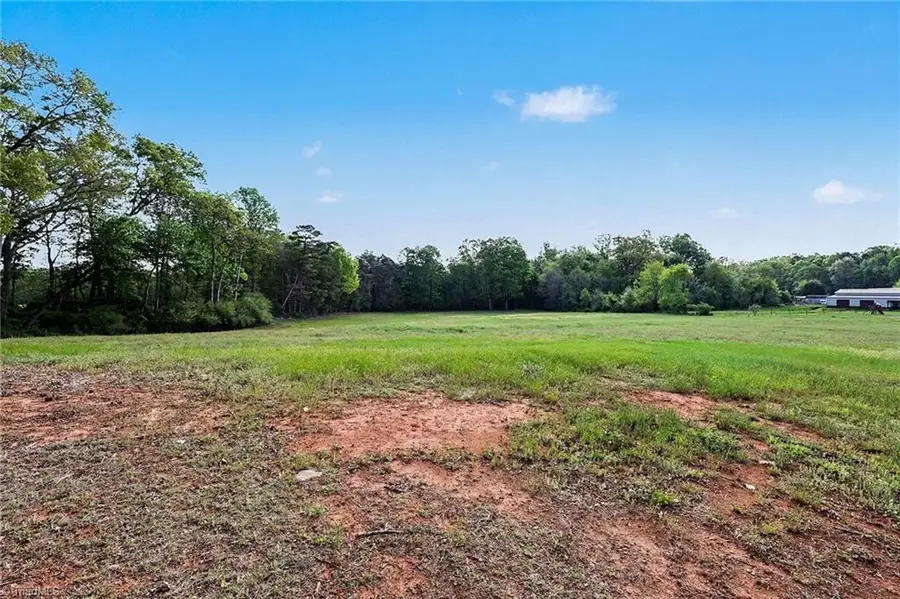 0000 Seagraves Road, Hamptonville, NC 27020 - #3