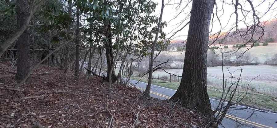 0 Air Bellows Gap Road, Sparta, NC 28675 - #3