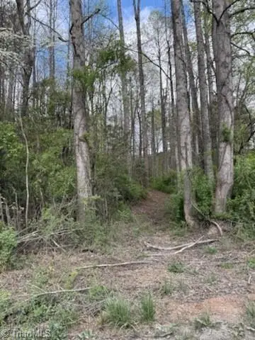 TBD Hollow Springs Circle, Boomer, NC 28606 - #2