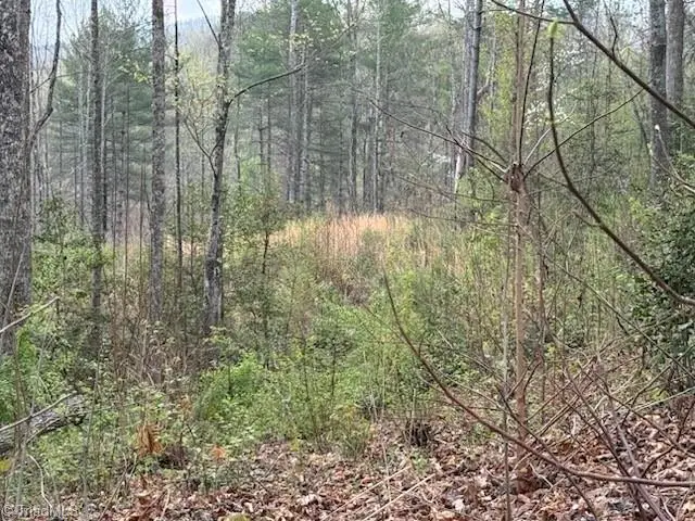 TBD Hollow Springs Circle, Boomer, NC 28606 - #3