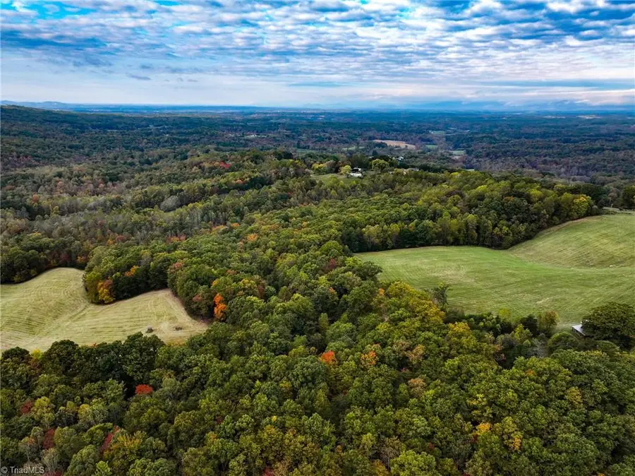 TBD Pedigo Ridge Road, Claudville, VA 24076 - #3