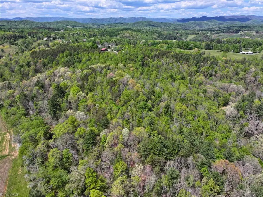 00 Hatchers Chapel Road, Mount Airy, NC 27030 - #3