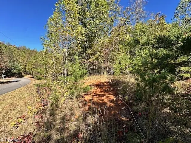 Lot 19 Longview Bluffs, Boomer, NC 28606 - #3
