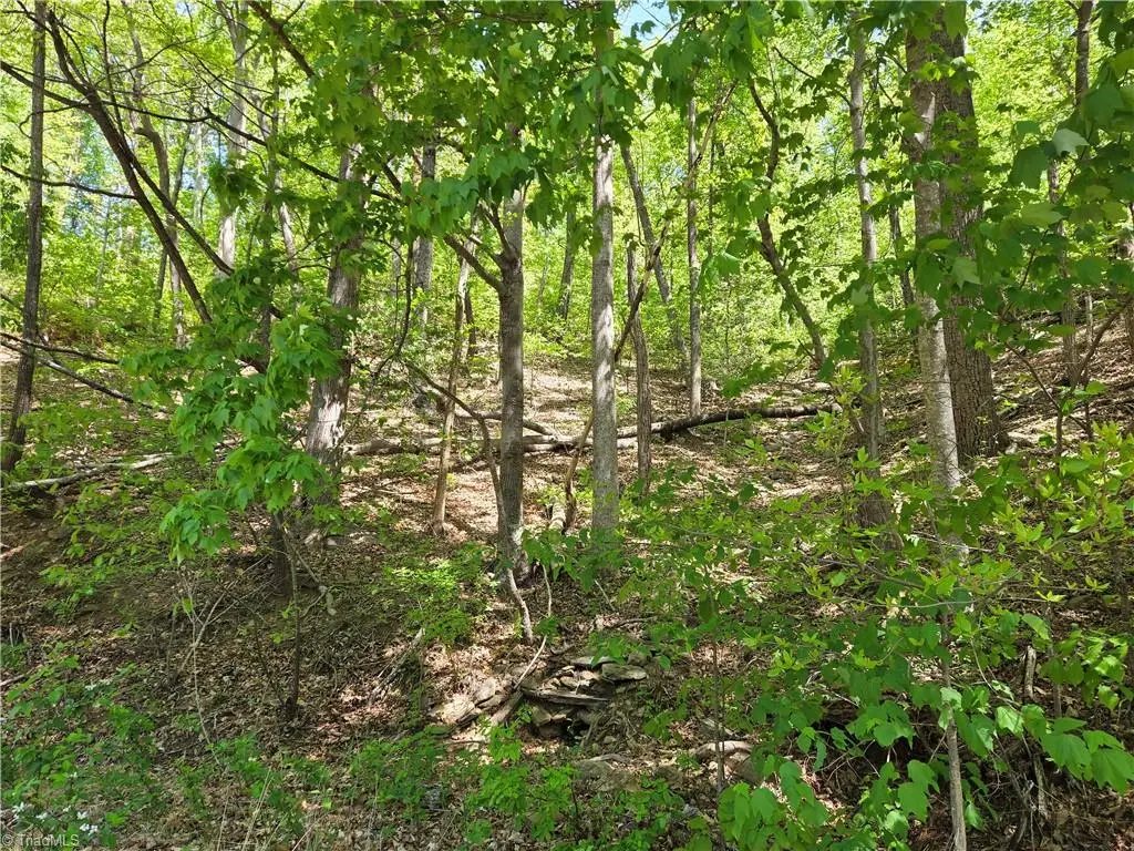 TBD Price Road, Moravian Falls, NC 28654 - #1