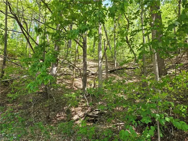 TBD Price Road, Moravian Falls, NC 28654