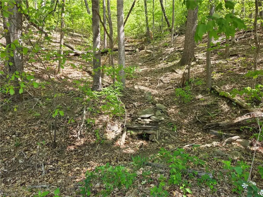 TBD Price Road, Moravian Falls, NC 28654 - #2