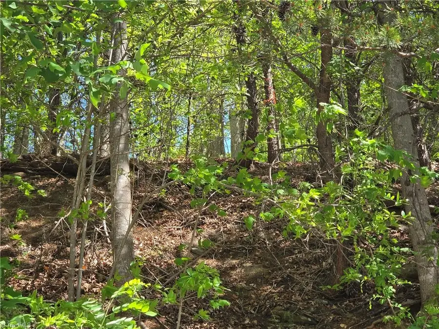 TBD Price Road, Moravian Falls, NC 28654 - #3