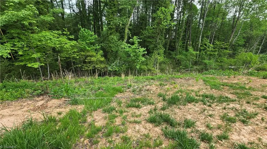 Lot 28 Meadowlark Road, Mount Airy, NC 27030 - #2