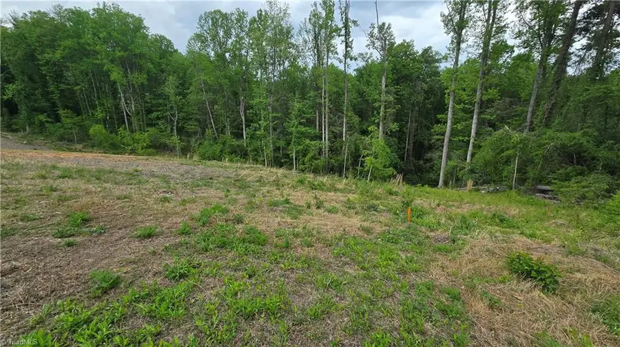 Lot 31 Meadowlark Road, Mount Airy, NC 27030 - #2