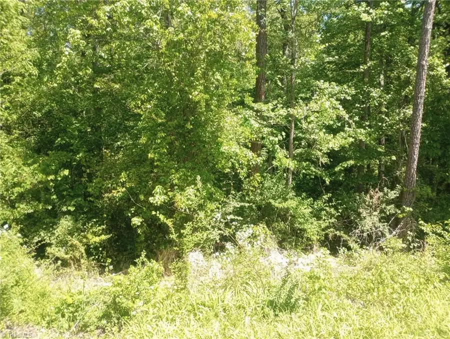 6221 Creek Lane, Gibsonville, NC 27249 - #2