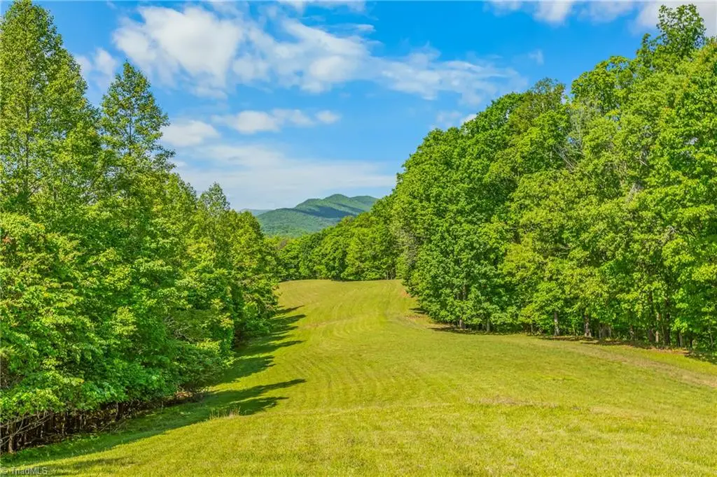 1392 Mission Road, Danbury, NC 27016 - #1