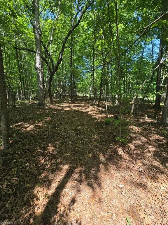 5022 Mt Hermon Rock Creek Road, Snow Camp, NC 27349 - #3