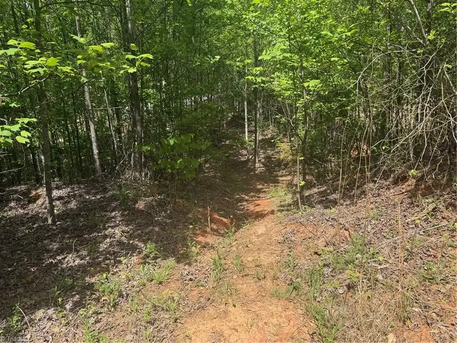 00 Parks Ridge Road, Wilkesboro, NC 28697 - #3