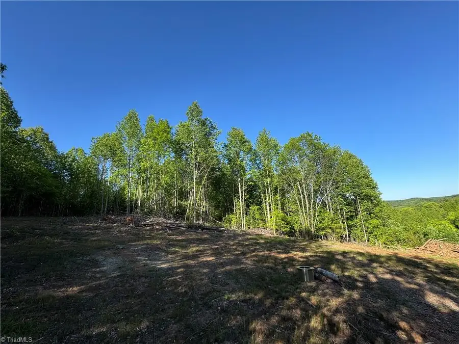 Tract 3 River Rd Liberty Grove Road, North Wilkesboro, NC 28659 - #3