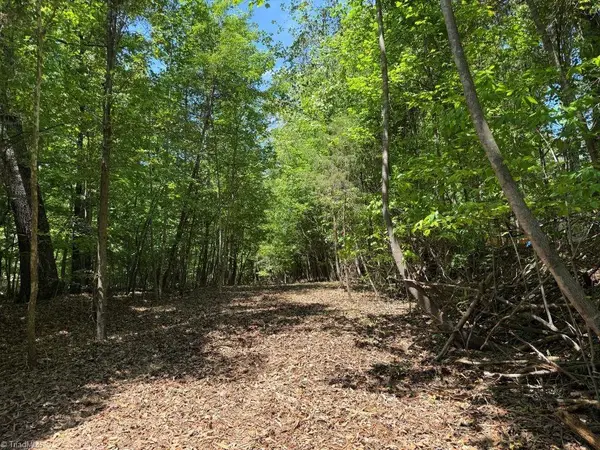 00 Broadview Drive, Pfafftown, NC 27040