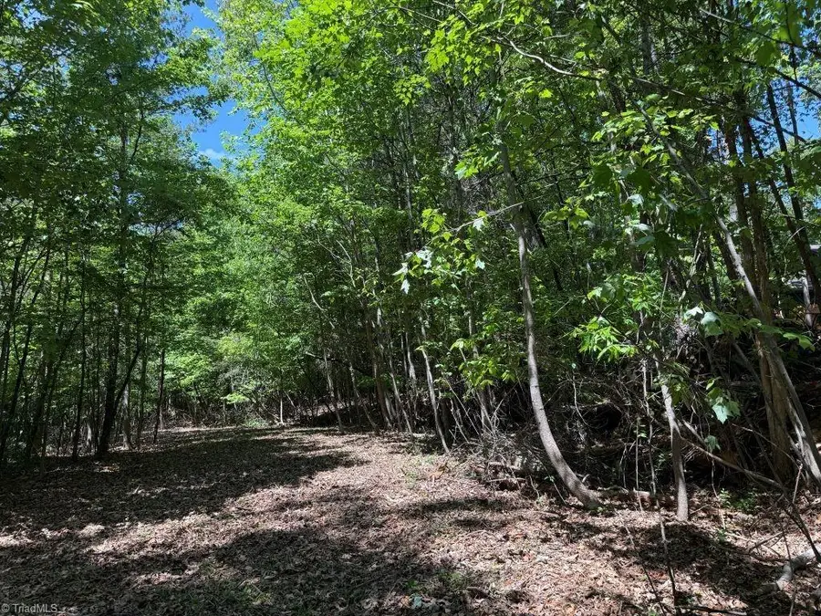 00 Broadview Drive, Pfafftown, NC 27040 - #2