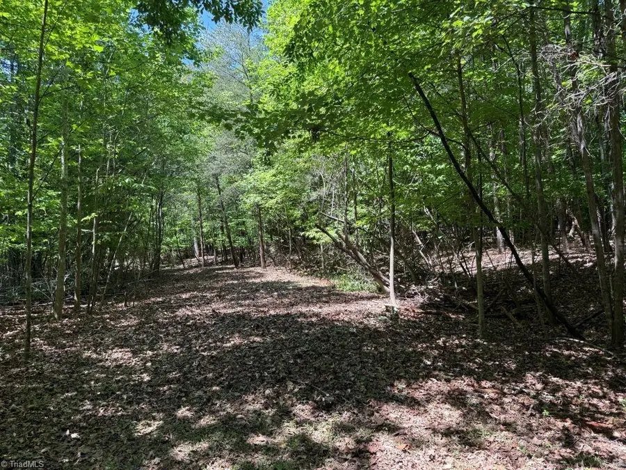 00 Broadview Drive, Pfafftown, NC 27040 - #3
