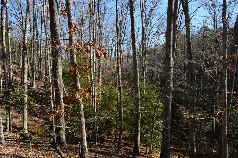 1344-1540 Nc Highway 89 W, Danbury, NC 27016 - #3