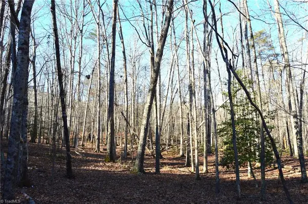 1010-1372 Hanging Rock Park Road, Danbury, NC 27016