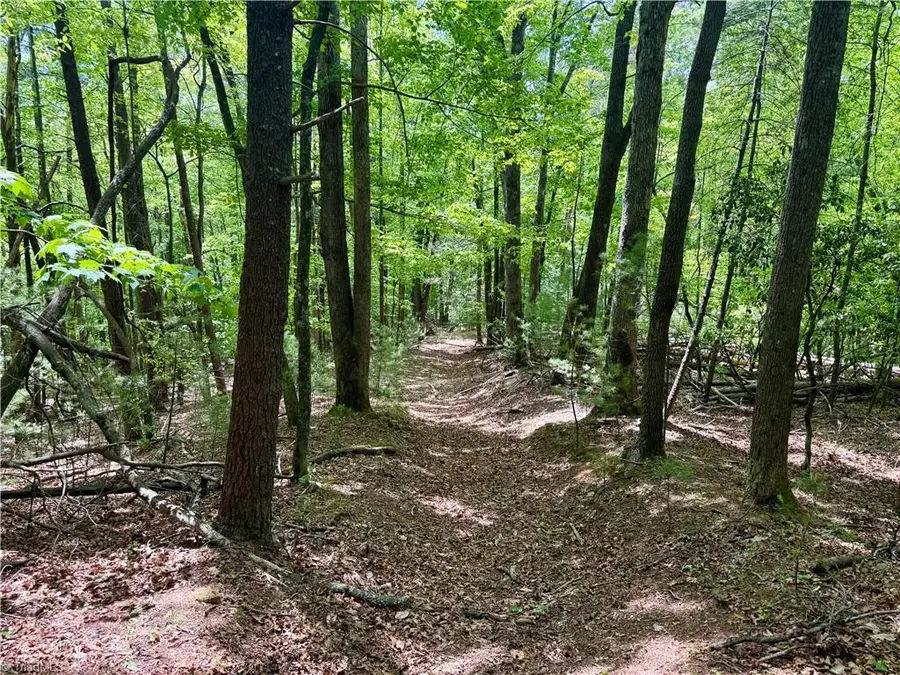 0000 Ashe View Drive, Millers Creek, NC 28651 - #3