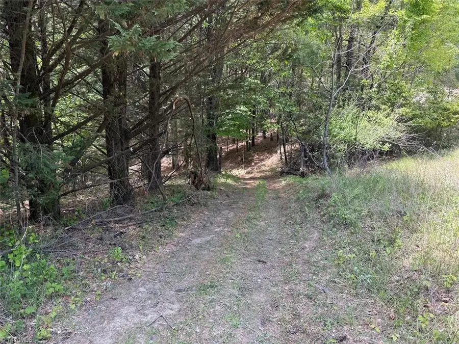 5797 Sheets Gap Road, Millers Creek, NC 28651 - #2