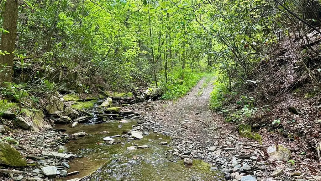 000 N Old Nc Highway 16, Millers Creek, NC 28651 - #1