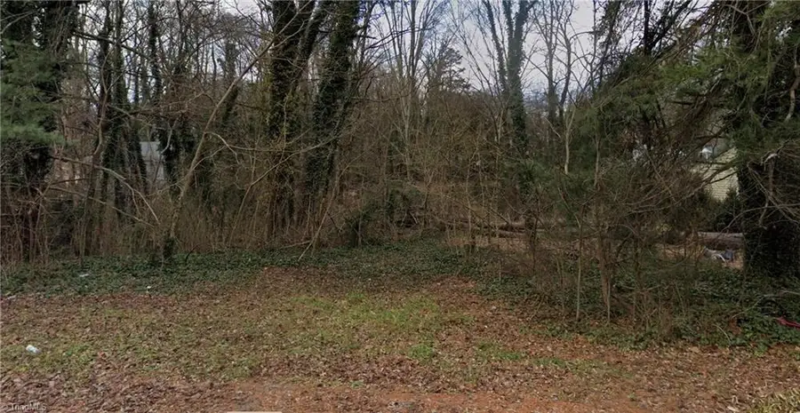 3656 Yale Avenue, Winston Salem, NC 27107 - #2