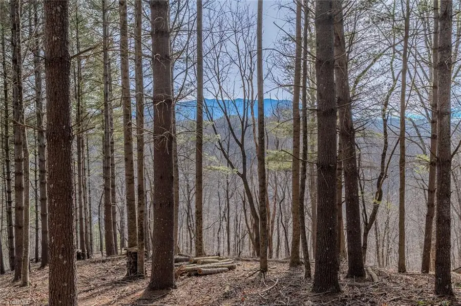 8 & 9 Haven Ridge, Lansing, NC 28643 - #2