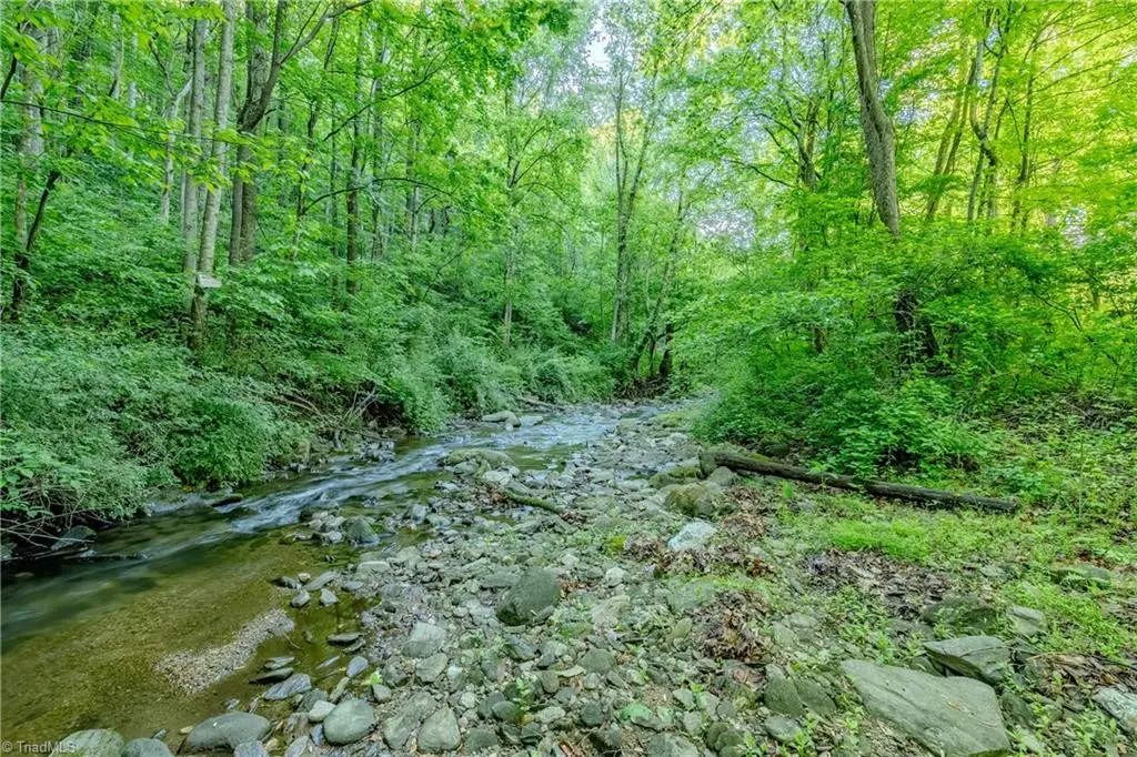 1276 Parkwood Road, Lambsburg, VA 24351 - #1