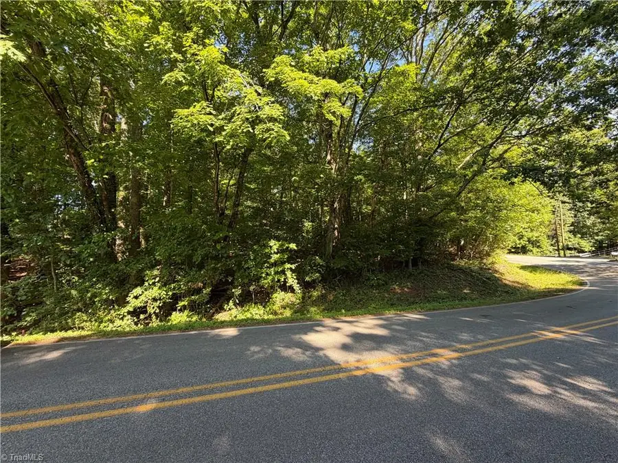 6919 Wooden Rail Lane, Summerfield, NC 27358 - #2
