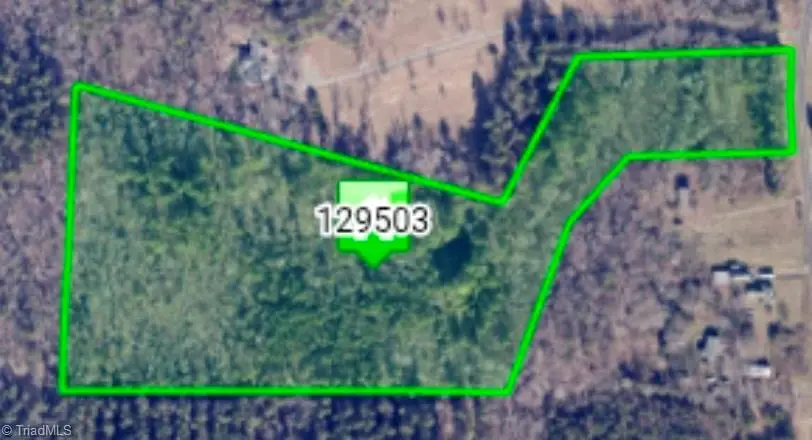 0 Bass Mountain Road, Snow Camp, NC 27349 - #2