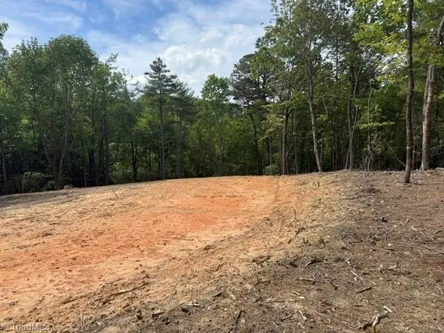 00 Chestnut Mountain Farms Parkway, McGrady, NC 28649 - #2