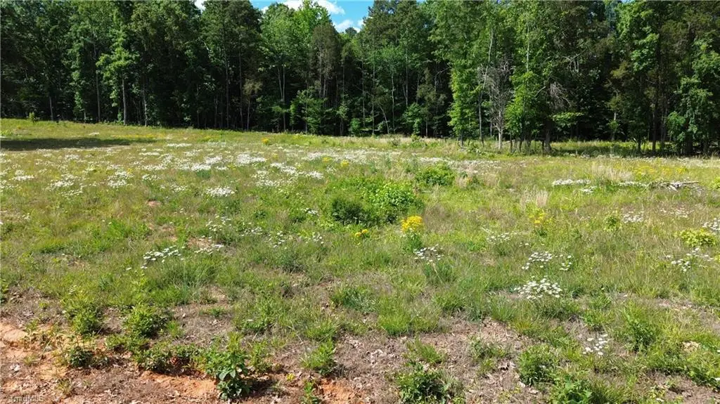 246 Elderberry Lane, Lexington, NC 27292 - #1