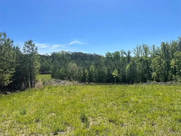 0 Palmer Road, Francisco, NC 27053