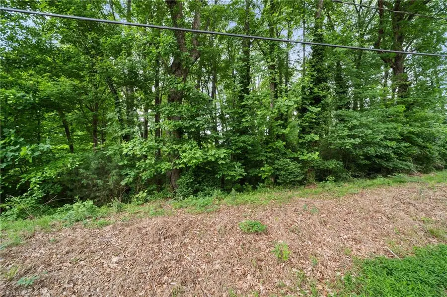 0 Tom Livengood Road, Midway, NC 27107 - #3