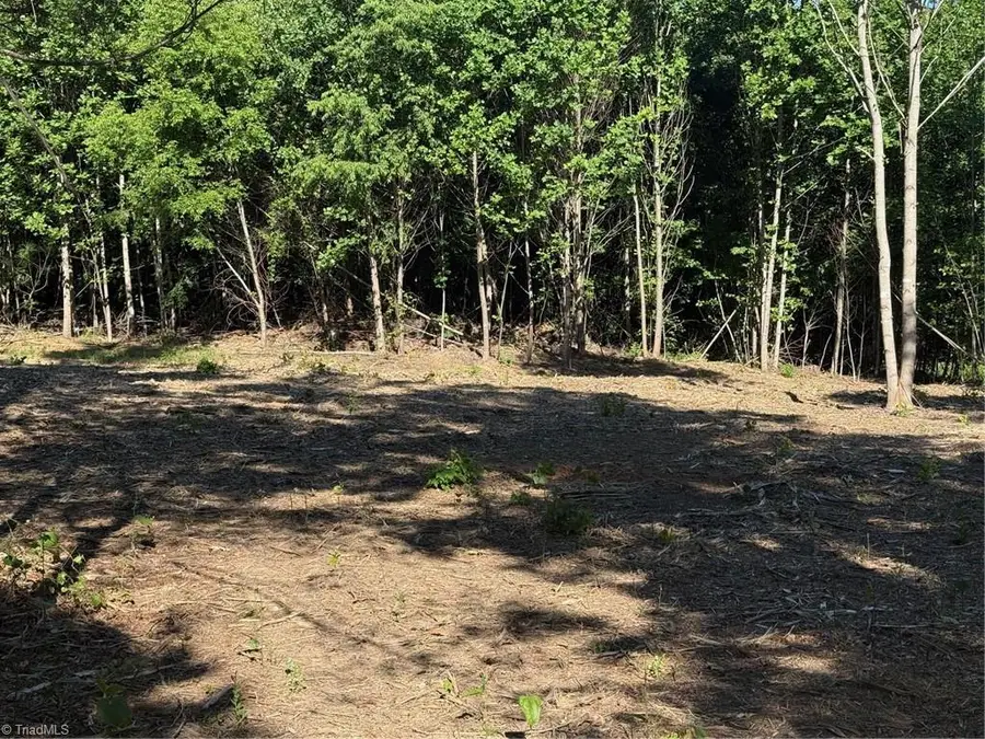 000 Parks Ridge Road, Wilkesboro, NC 28697 - #3