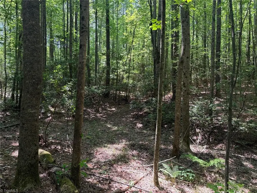 22.57 acres Woods Road, Seagrove, NC 27341 - #2