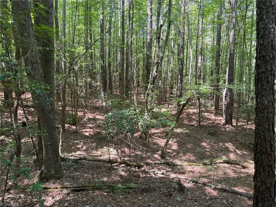 22.57 acres Woods Road, Seagrove, NC 27341 - #3