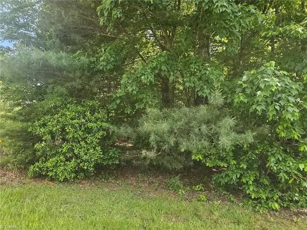 Lot 1 Ashland Lane, Wilkesboro, NC 28697